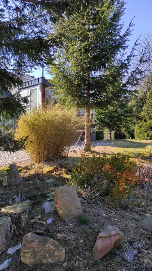 Zum Tischler Ilmenau Exterior foto